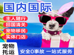 奇台江航空快运国际宠物托运 【国